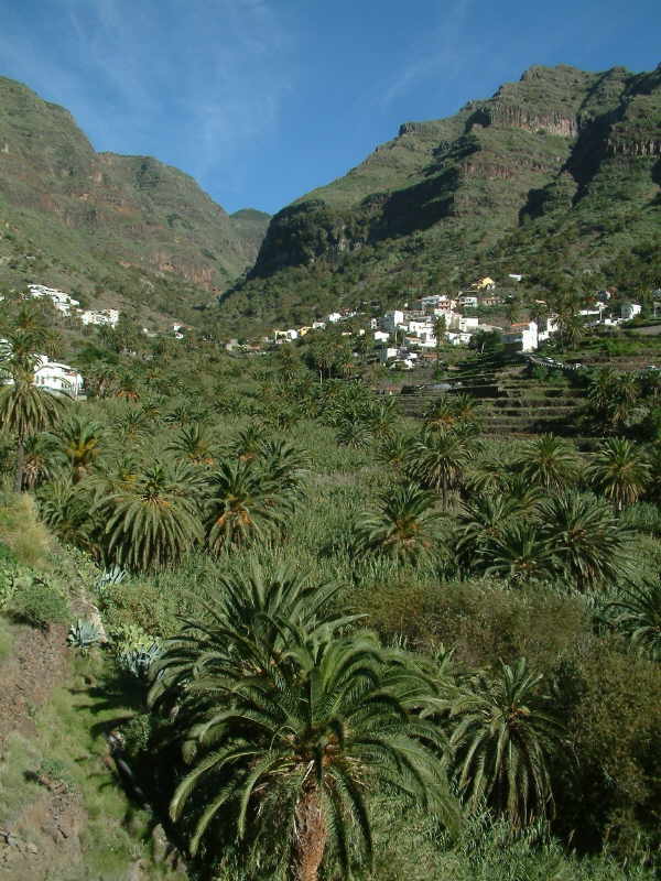 Das üppig grüne Tal von Valle Gran Rey