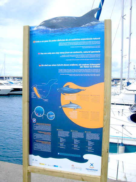 Info-Board im Hafen